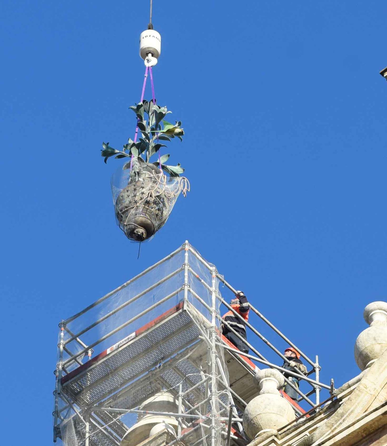 La retirada de las jarras de las azucenas de la Giralda, en imágenes