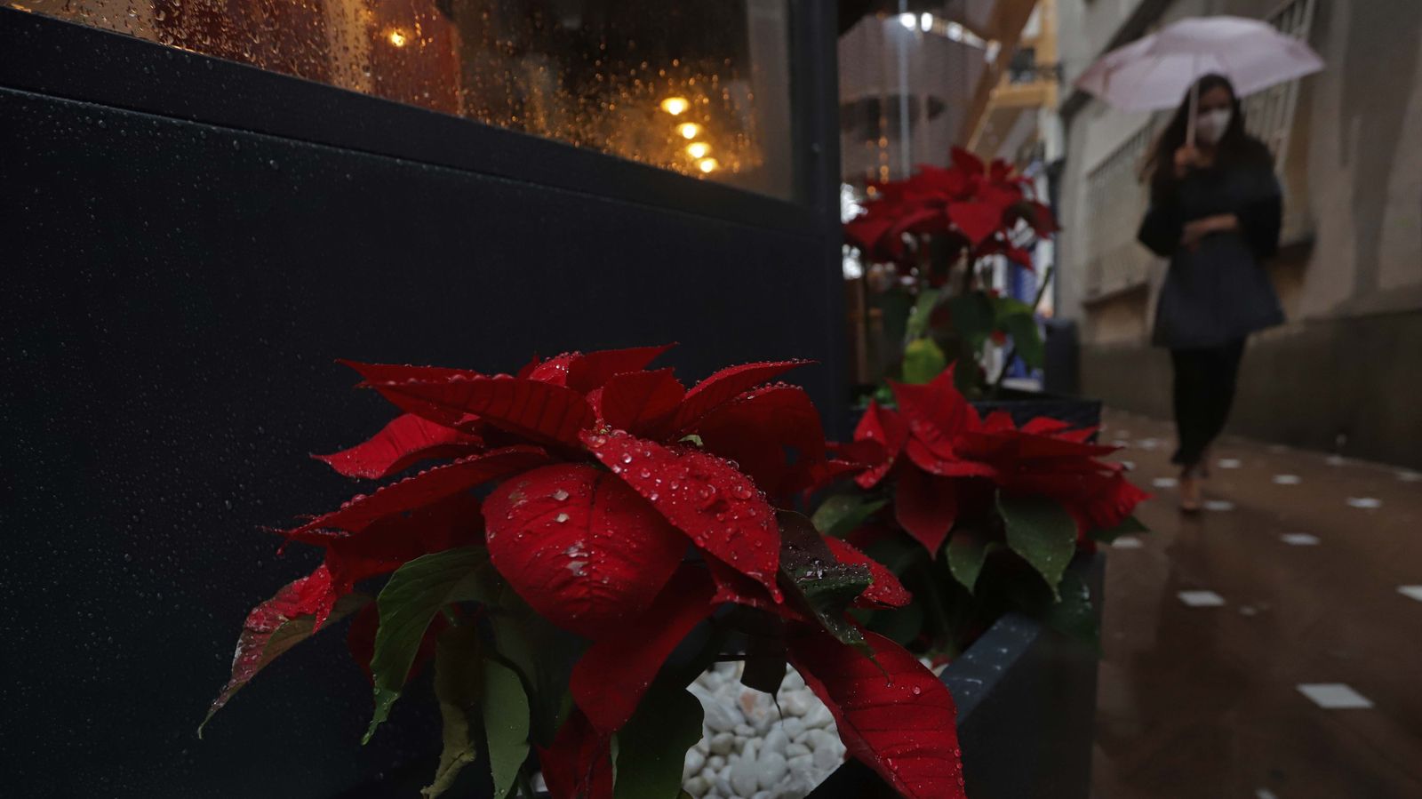 Fotos de la celebración de la Nochebuena en el Campo de Gibraltar