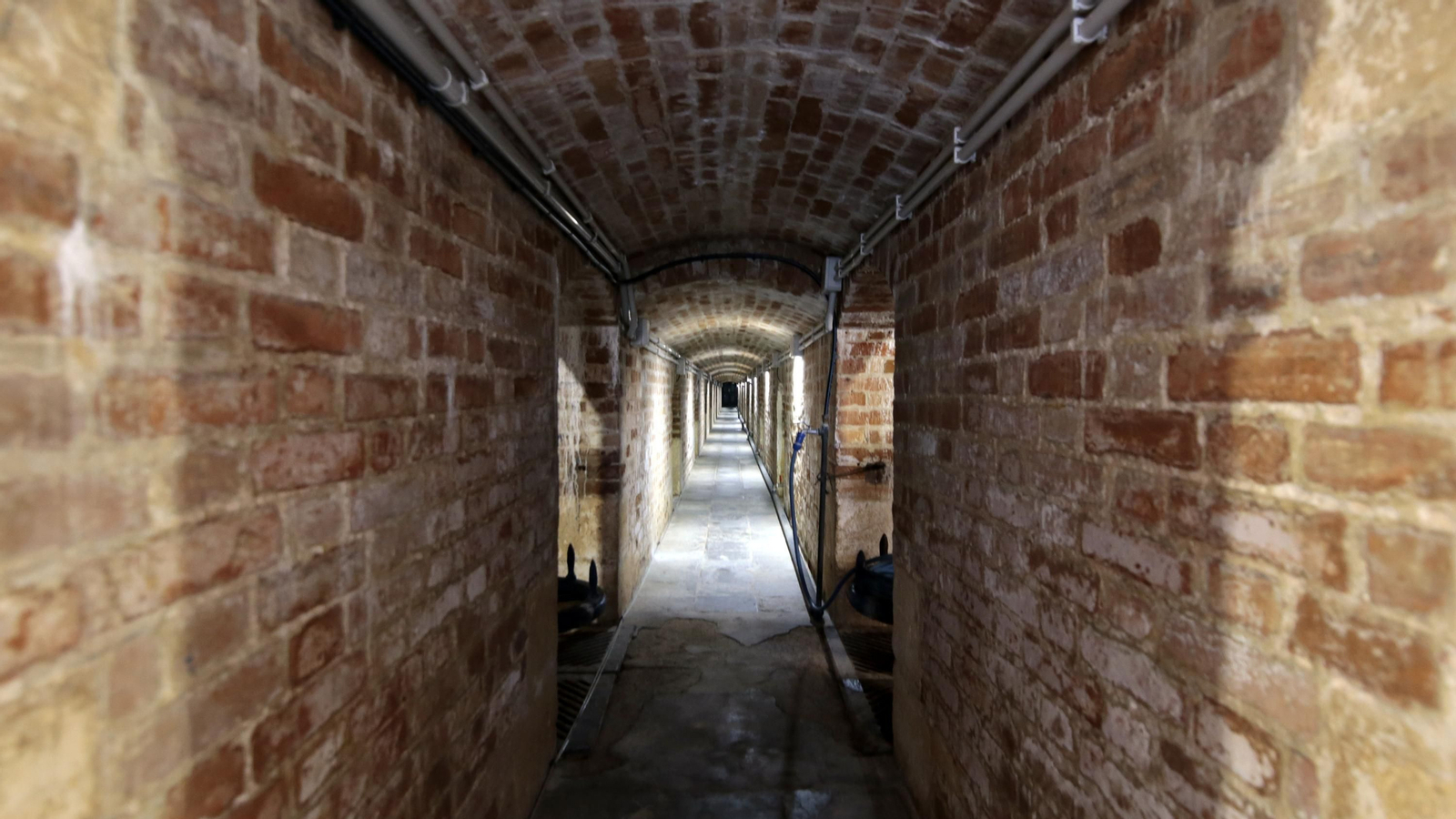 69 aniversario del Zoo de Jerez