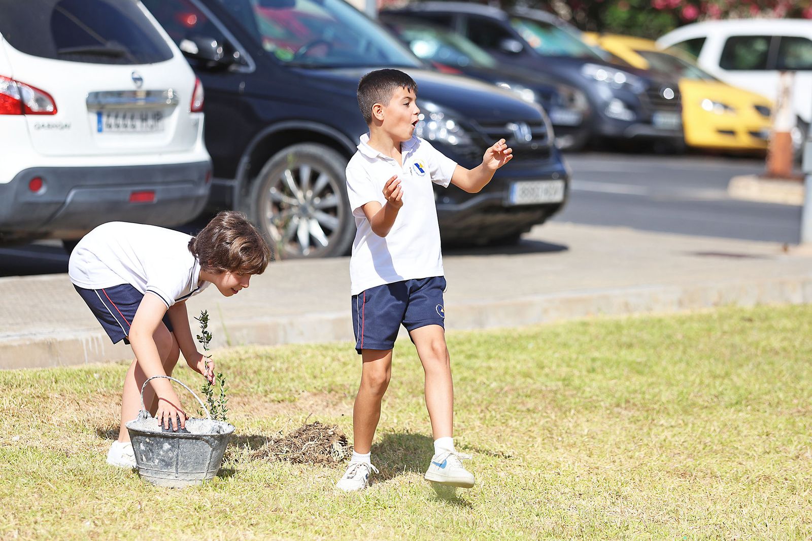 Los alumnos del colegio Virgen del Rocío realizan una plantación de arboles en el Hospital Juan Ramón Jiménez