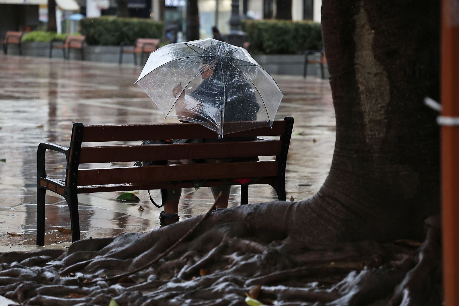 Las imágenes más destacadas del jueves 13 de marzo en Huelva