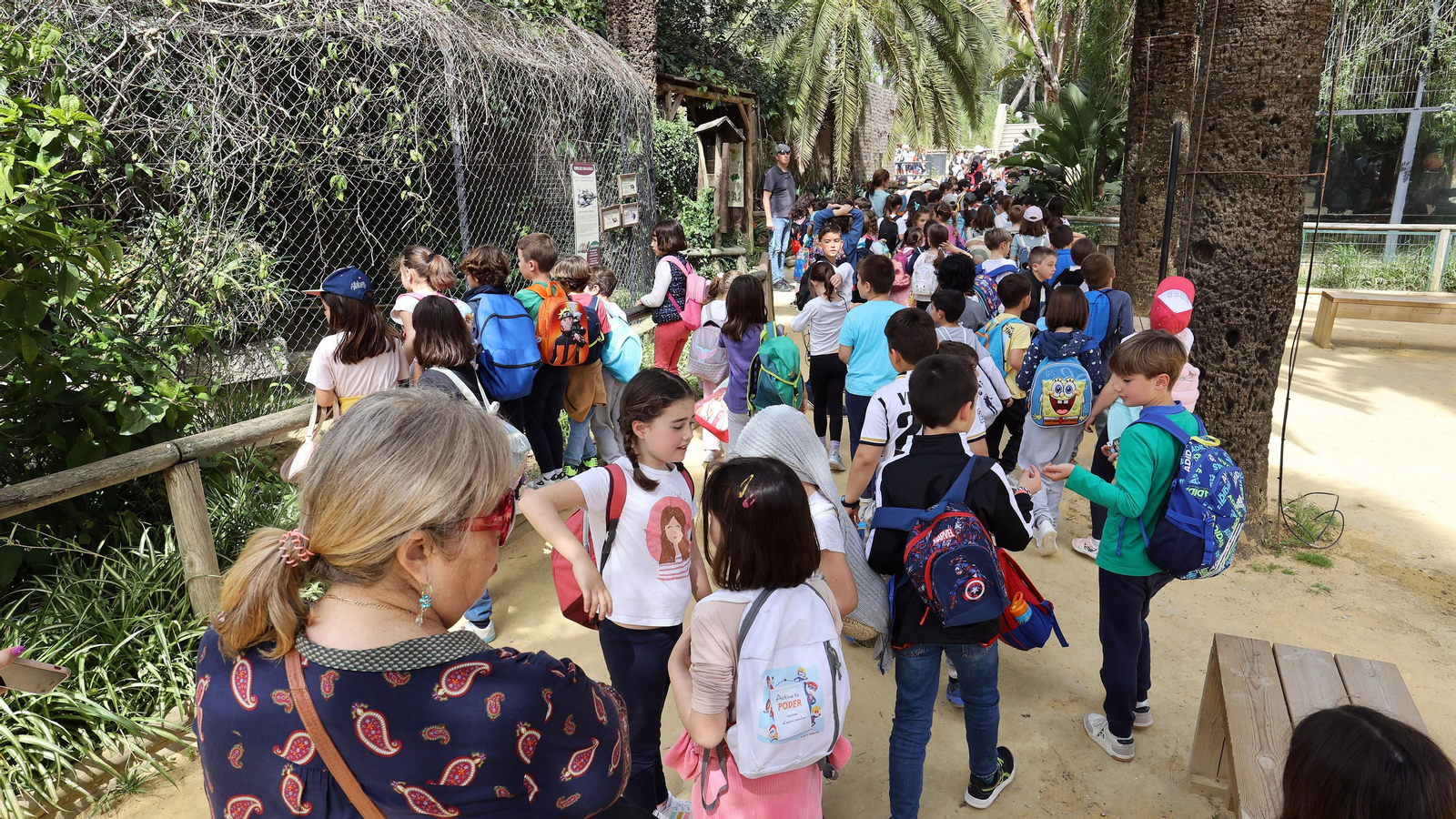 Día Mundial del Agua de Aquajerez y aniversario de Diario de Jerez en el Zoo
