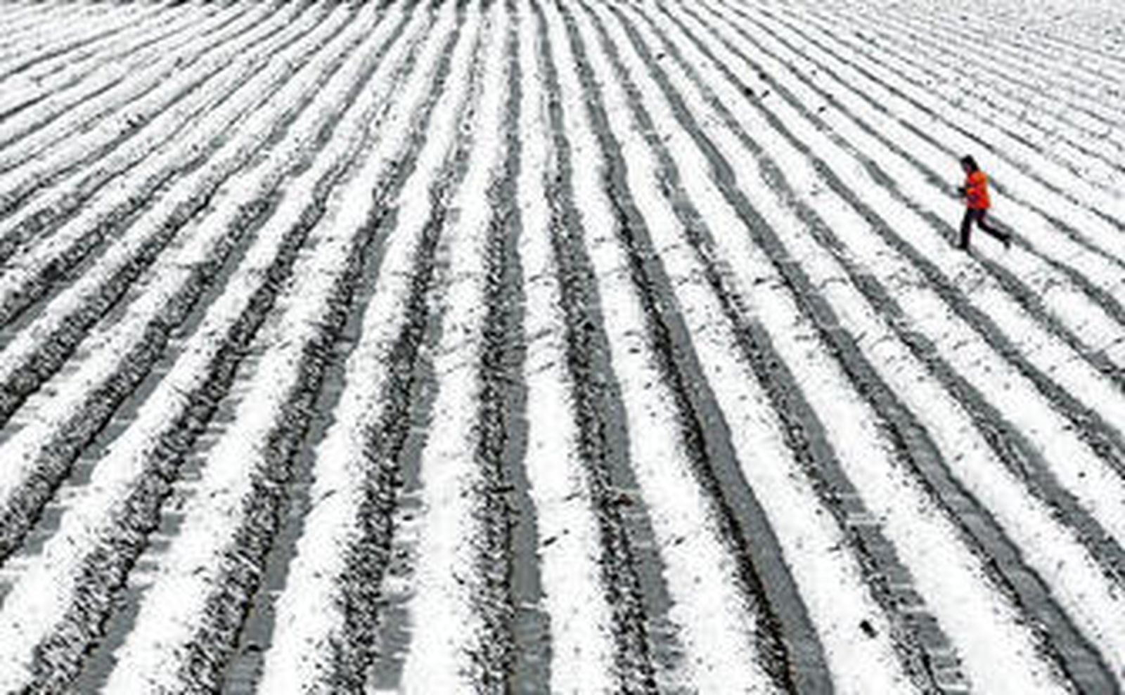 Un terreno agrícola nevado cerca de la ciudad de Sevilla.