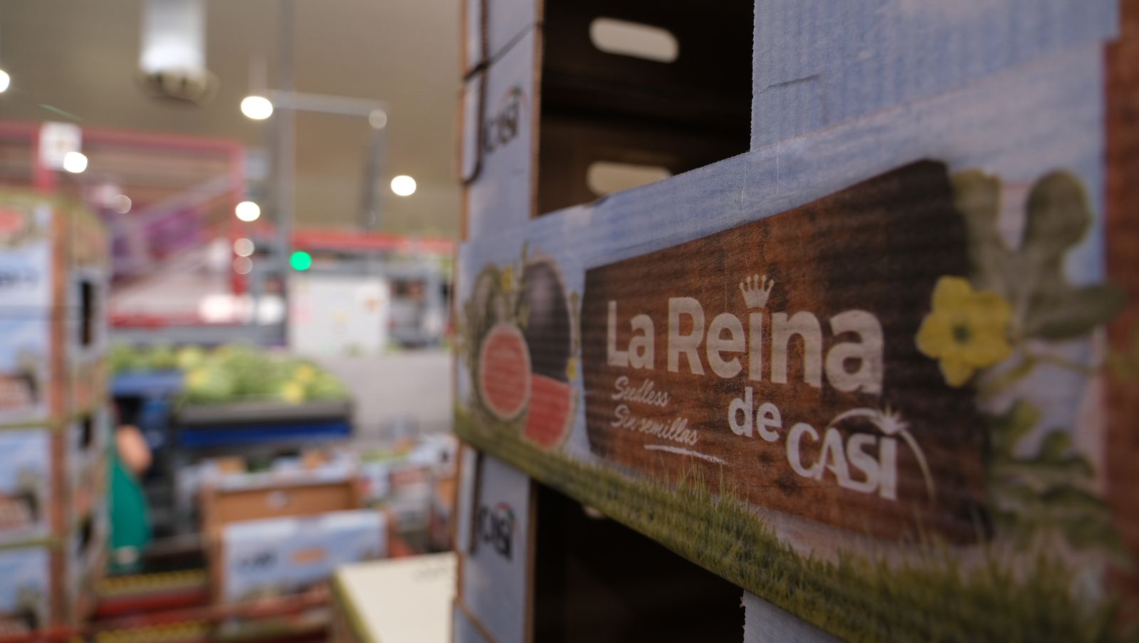 La IA llega a CASI, en imágenes