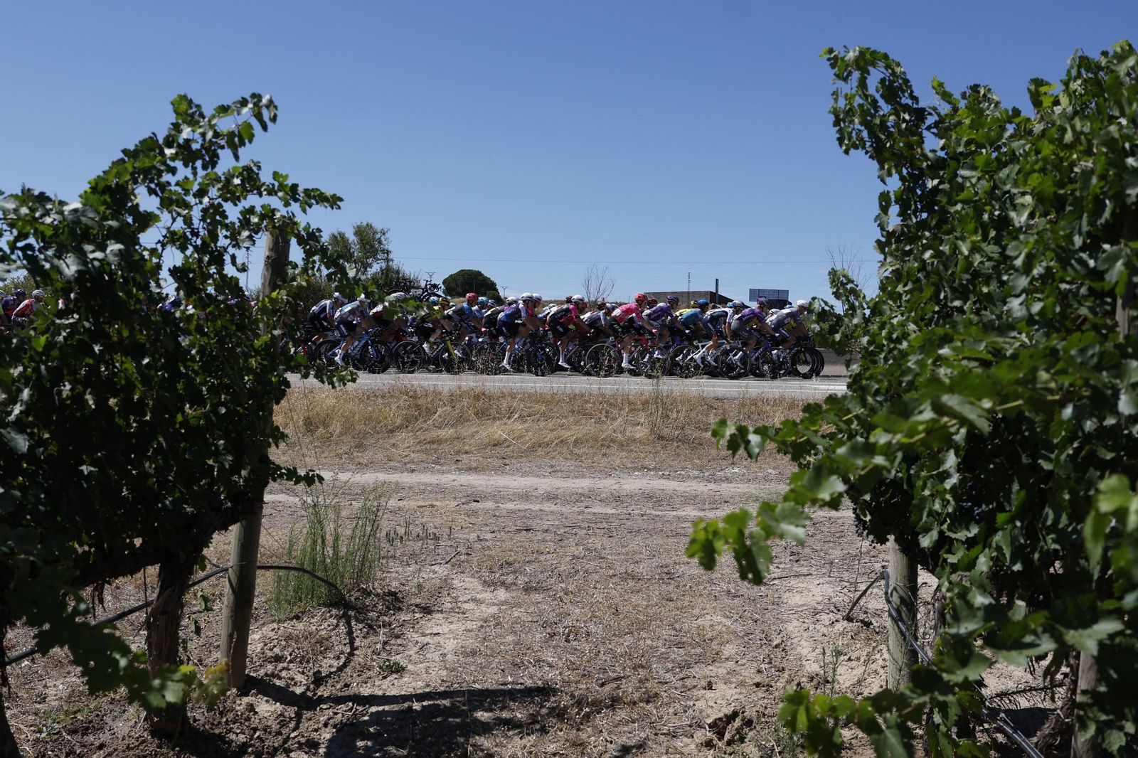 Las mejores fotos de la Vuelta a España | Etapa 8