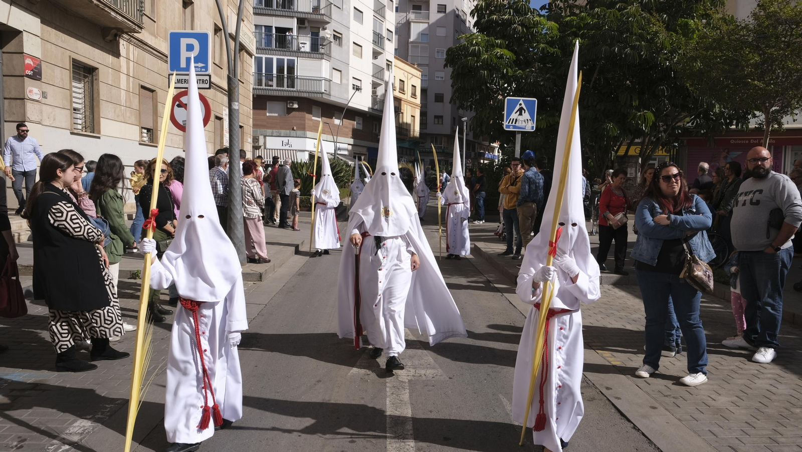 Imágenes de la Procesión de la Borriquita de Almería