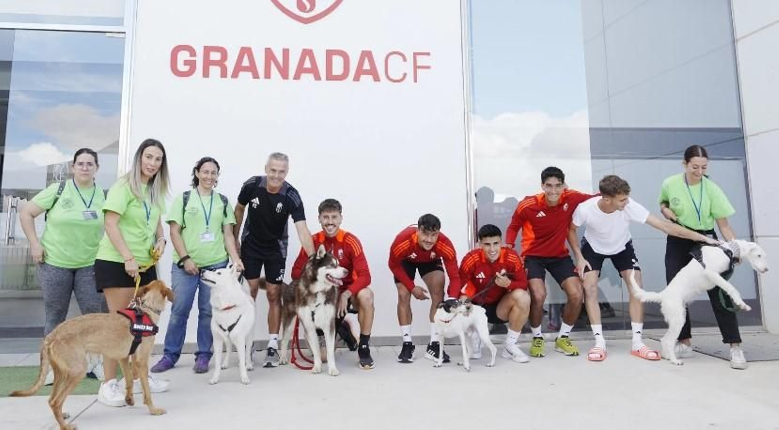 Importantísima iniciativa del club rojiblanco en favor de perros maltratados o abandonados