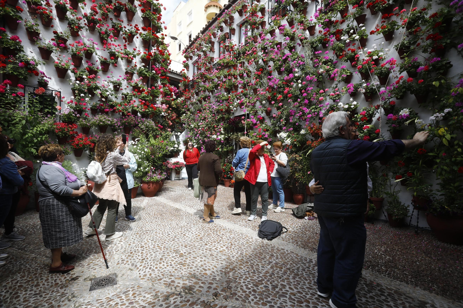 Colas e ilusión en el primer sábado de los Patios de Córdoba, en imágenes