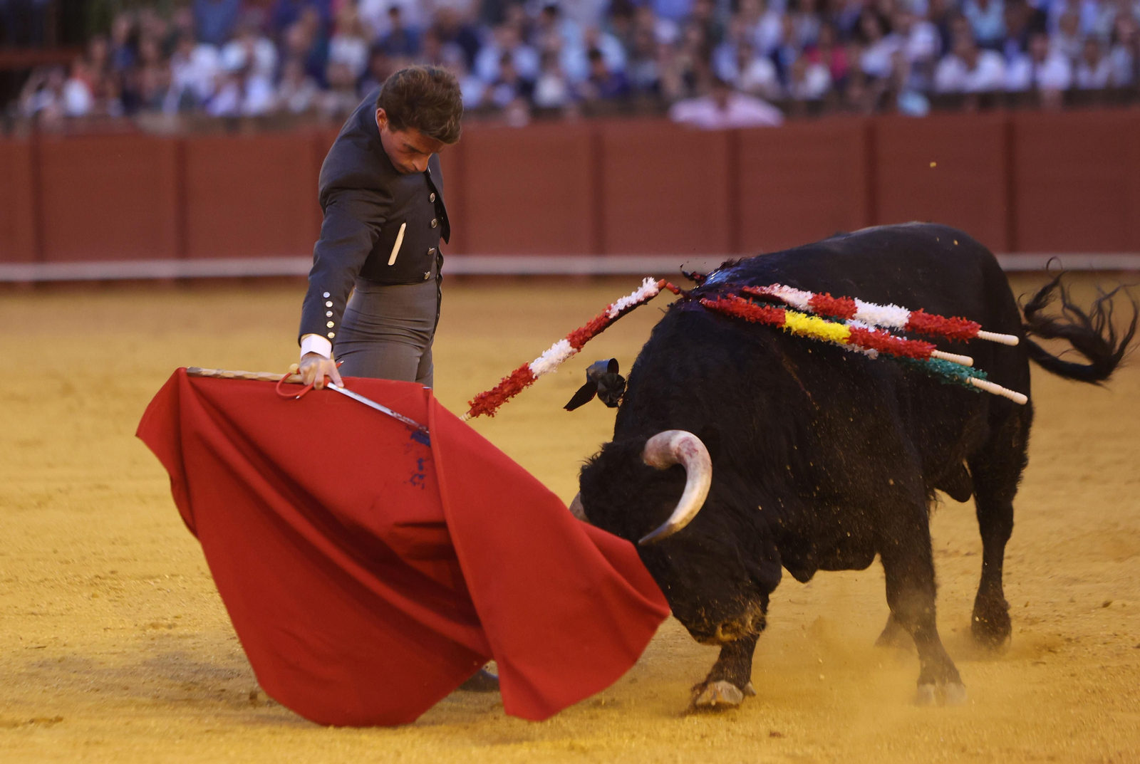 Fotos del Festival taurino a beneficio de l de la Hermandad del Rocío de Triana y de la Fundación Alalá