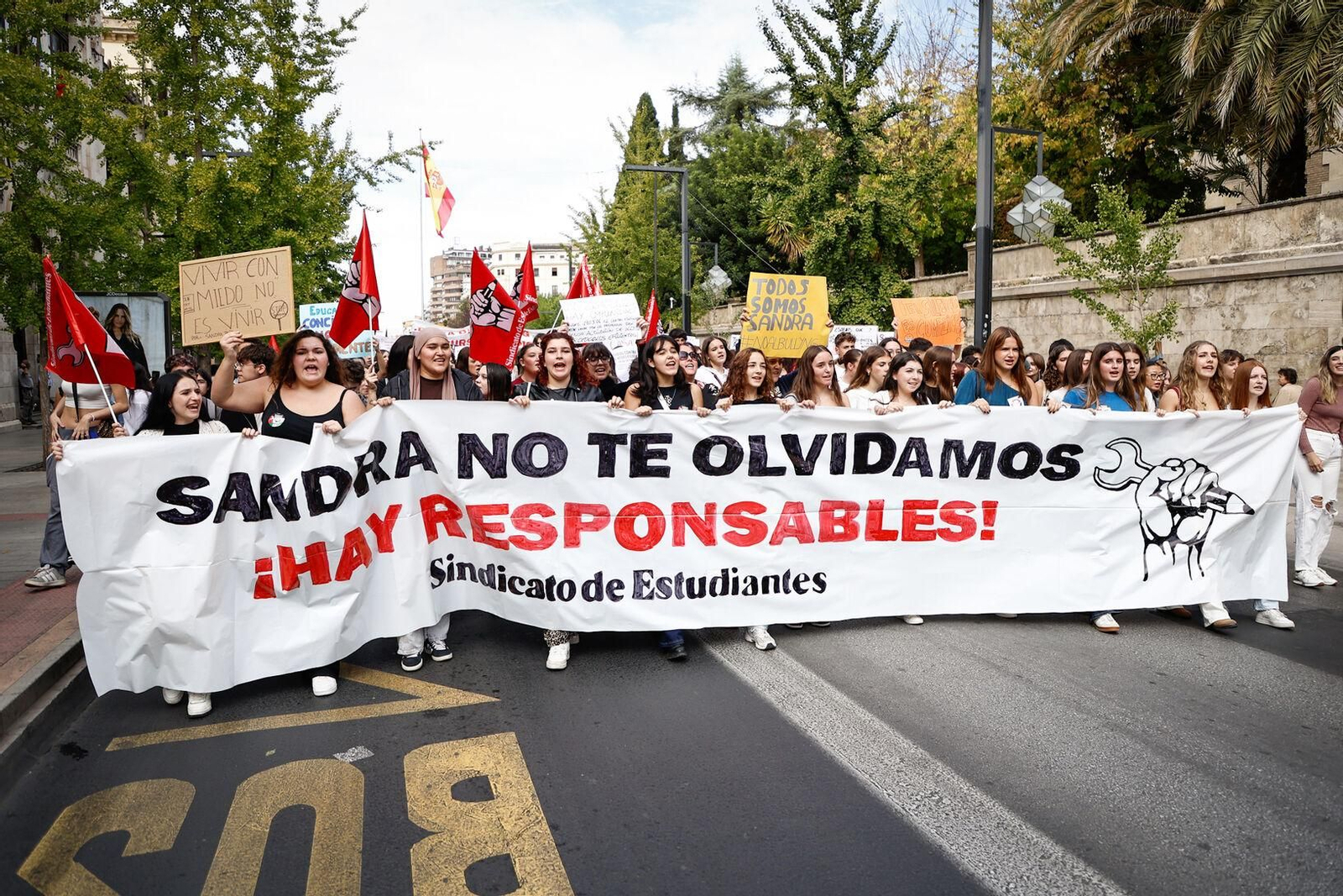 Unas 3.000 personas se manifiestan contra el acoso escolar en Granada: las imágenes