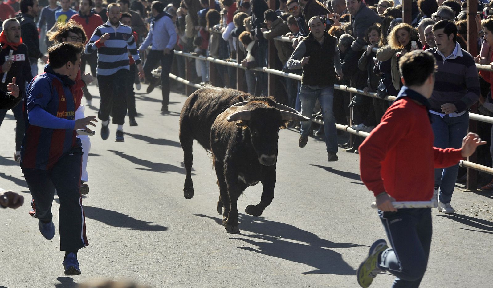 Encierro en honor de San Sebastián en La Puebla del Río.
