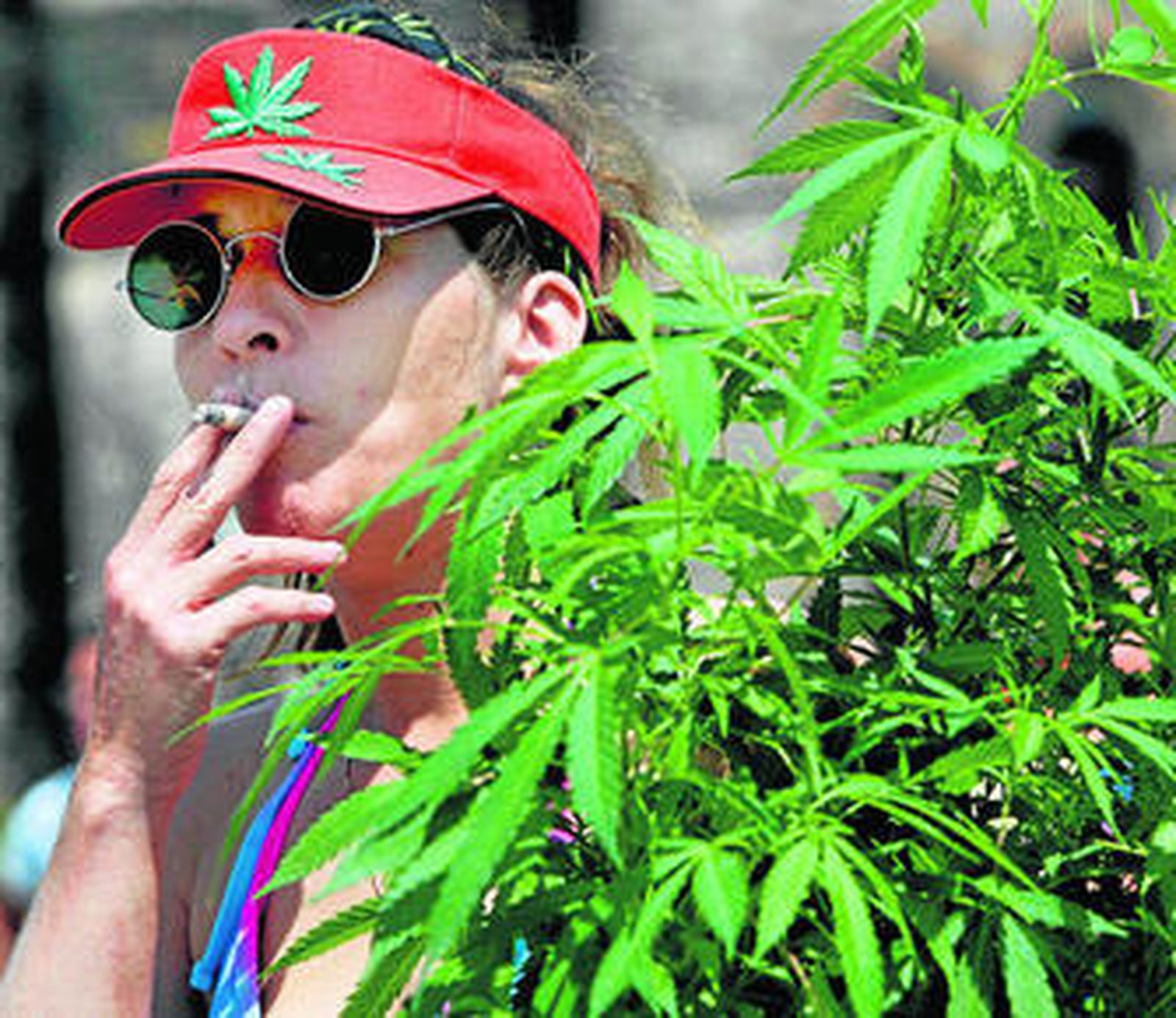 Una fumadora de marihuana, junto a una planta de cannabis.