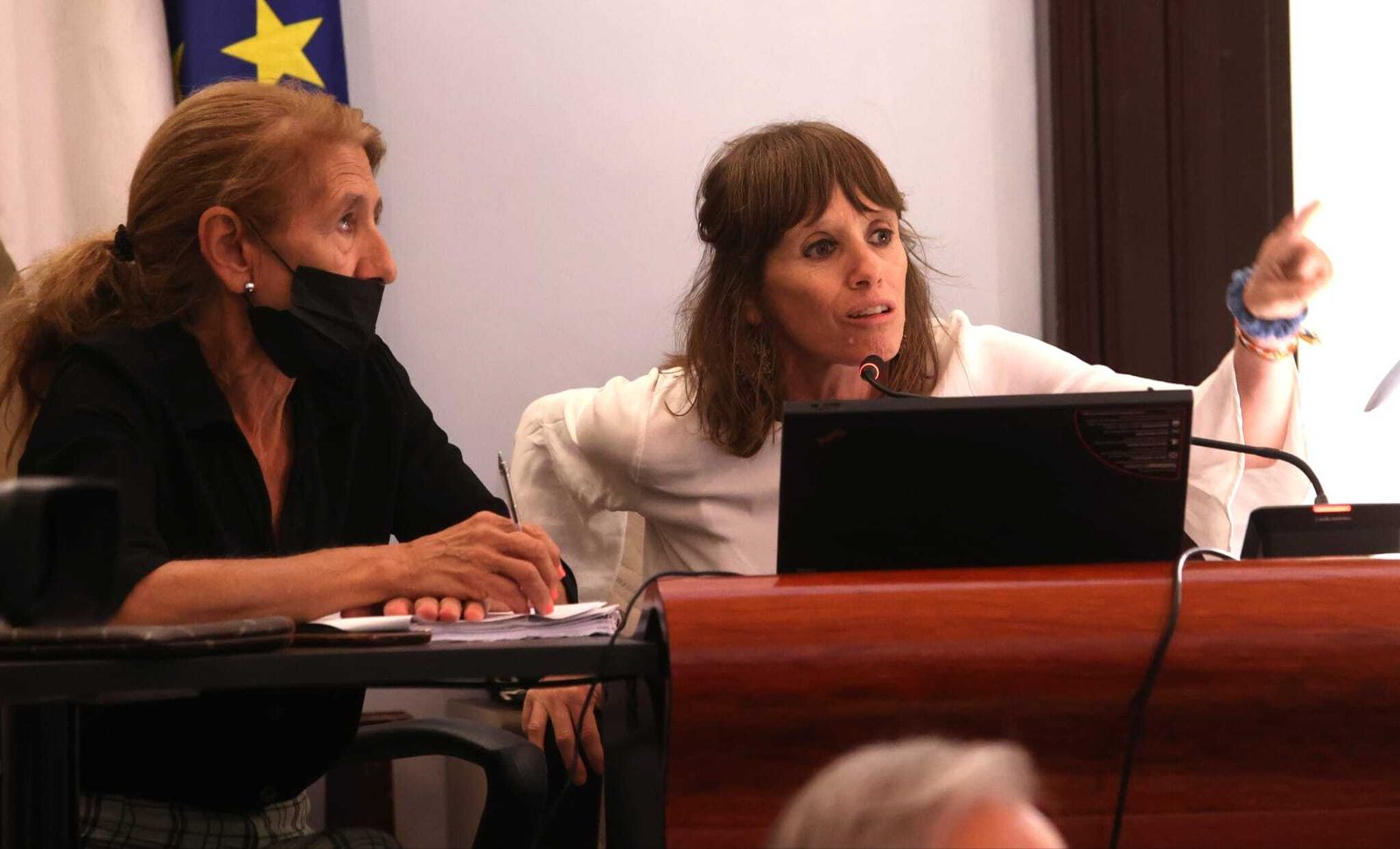 Laura Álvarez, durante el pleno celebrado este lunes.