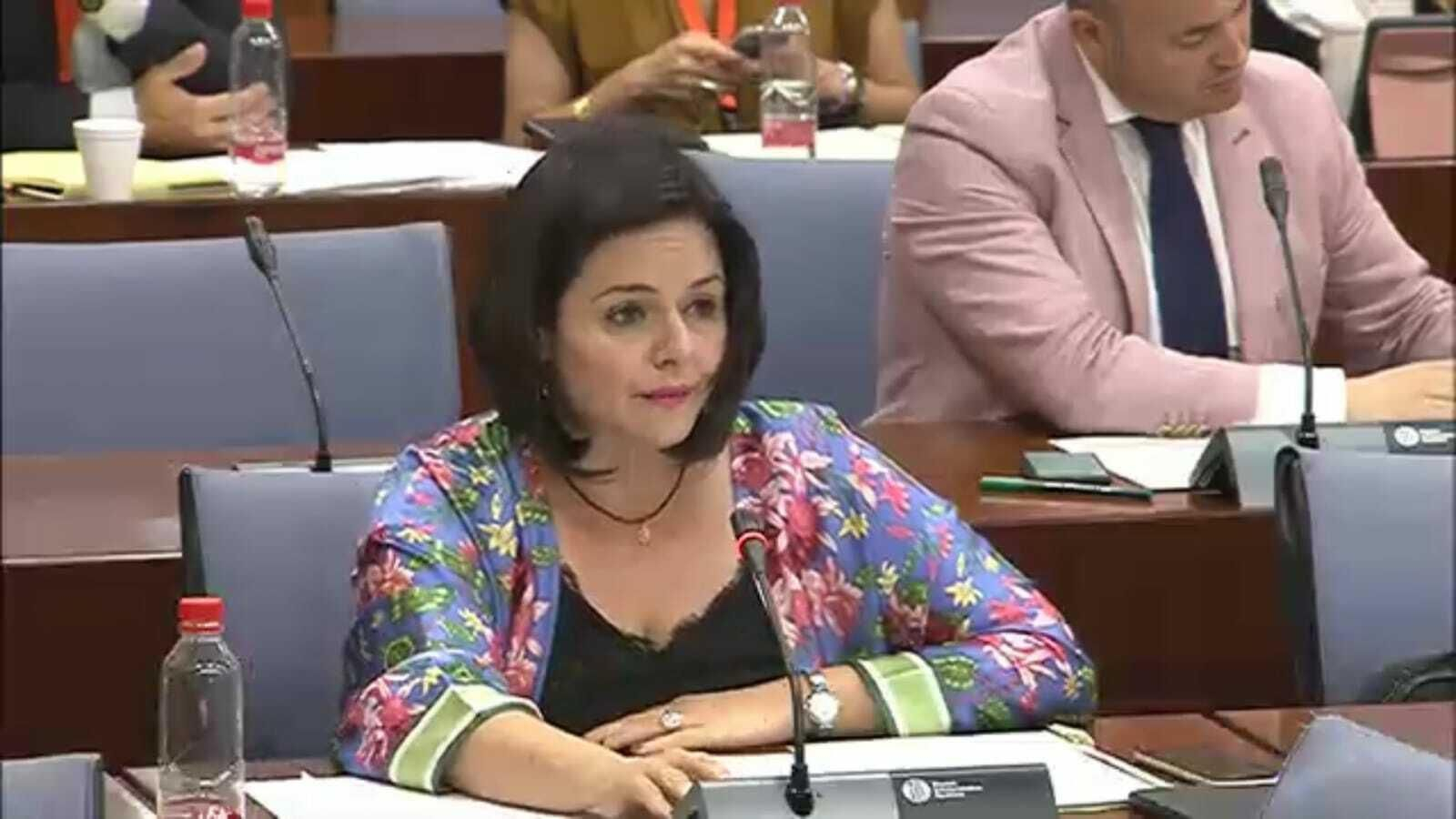 Virginia Pérez parla catalán en el Parlamento andaluz Virginia Pérez parla catalán en el Parlamento andaluz