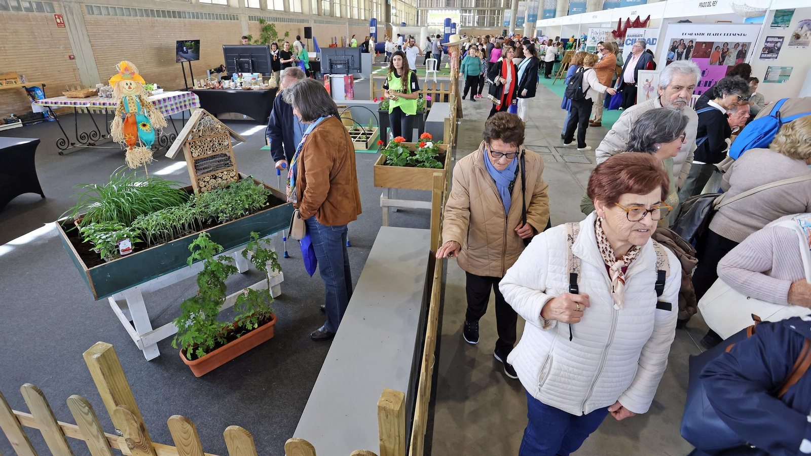 Imágenes de la Feria del Mayor Activo en Ifeca Jerez