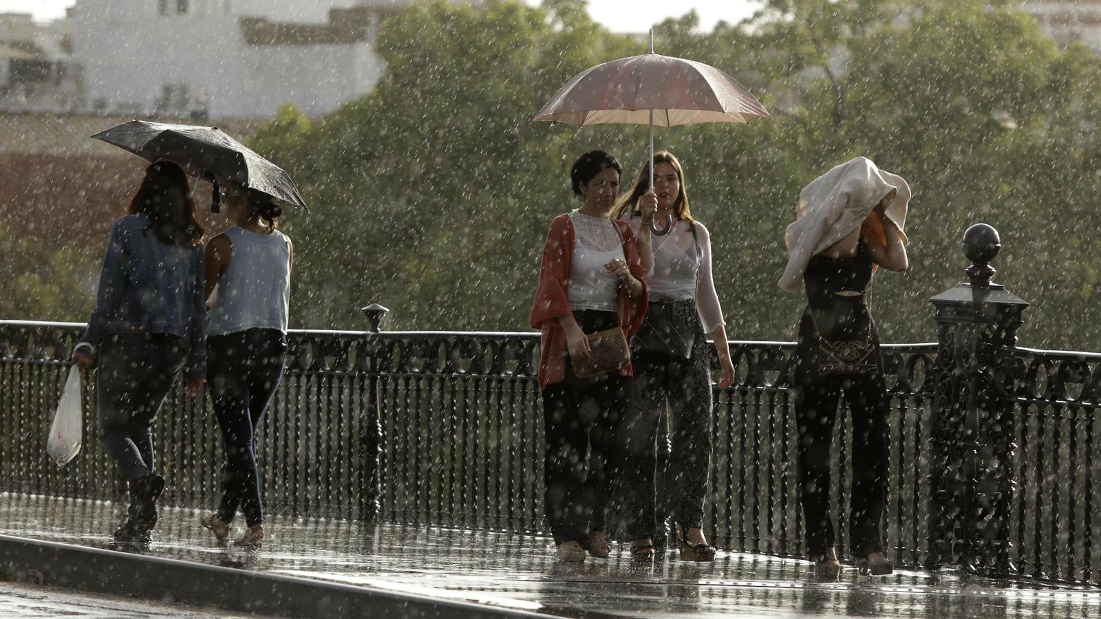 Las imágenes de la lluvia en Sevilla