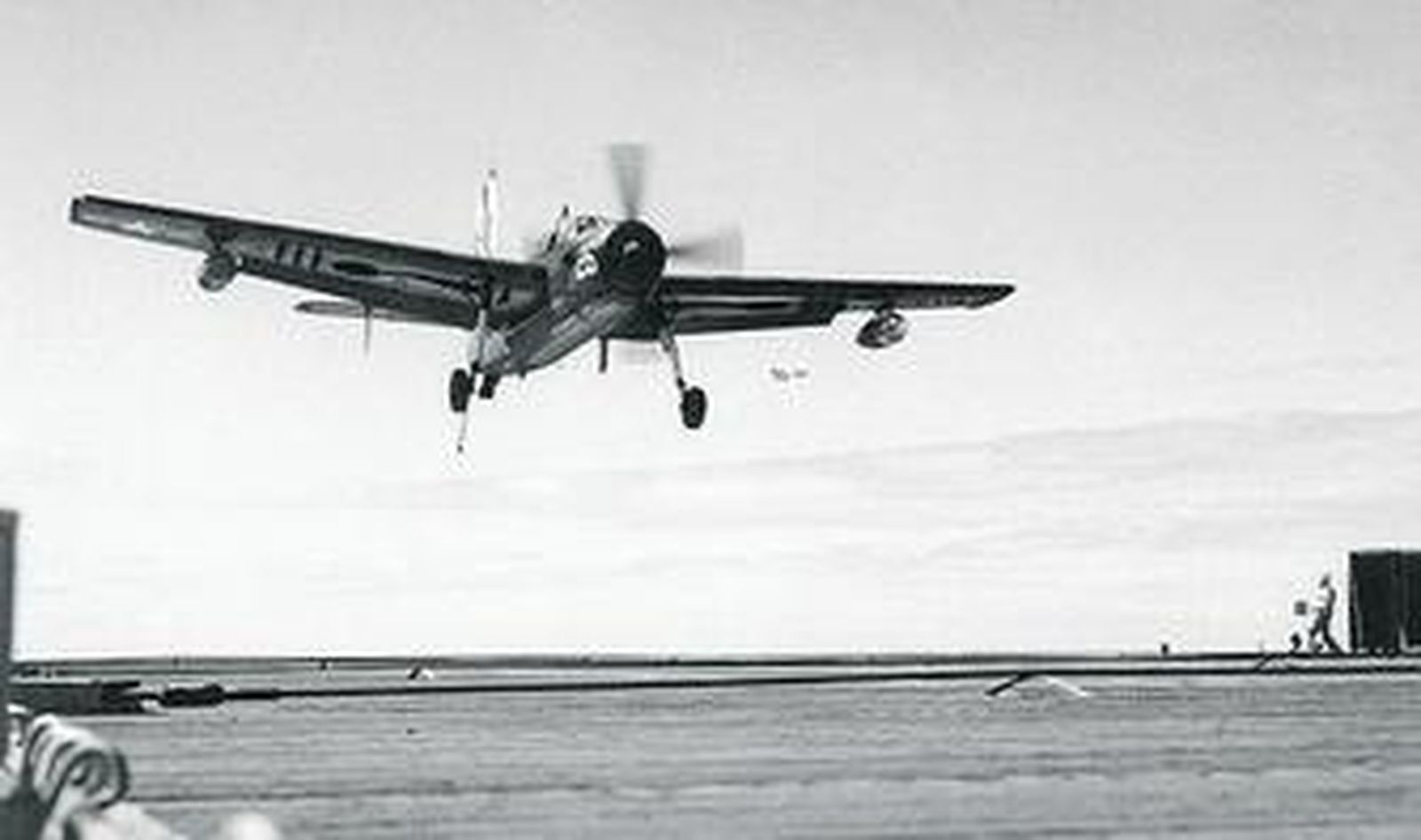 El avión siniestrado en 1969 en las costas de Cabo de Gata era un AN-17 Grumman.