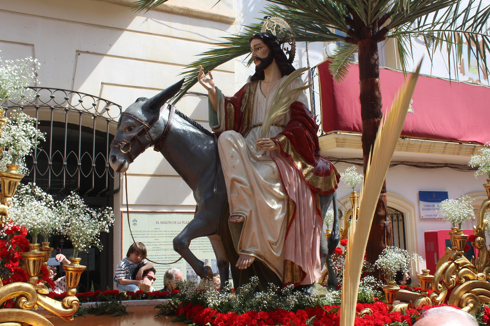 Las imágenes de la procesión de La Borriquita en Vera