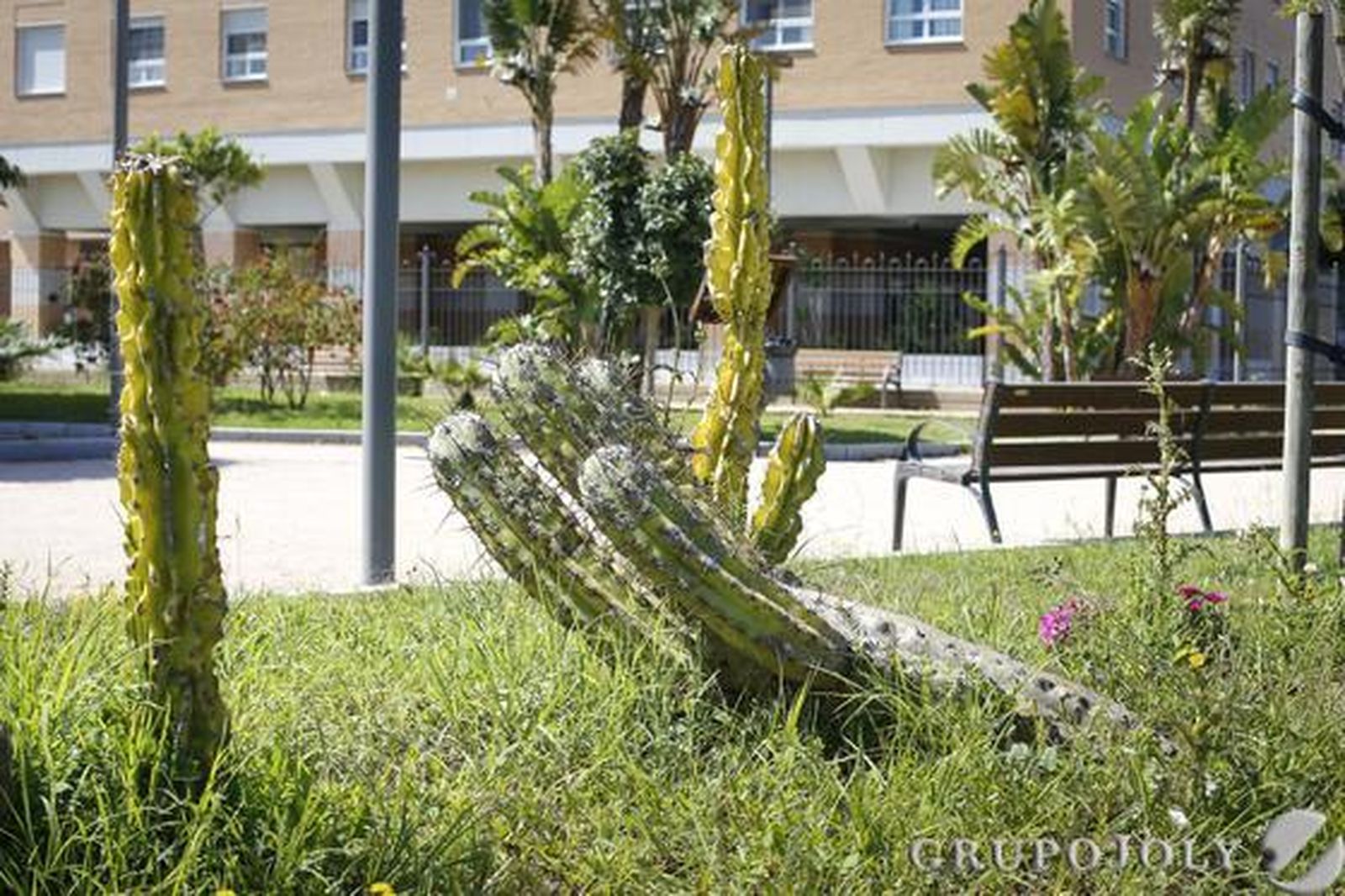 Foto: Julio Gonzalez