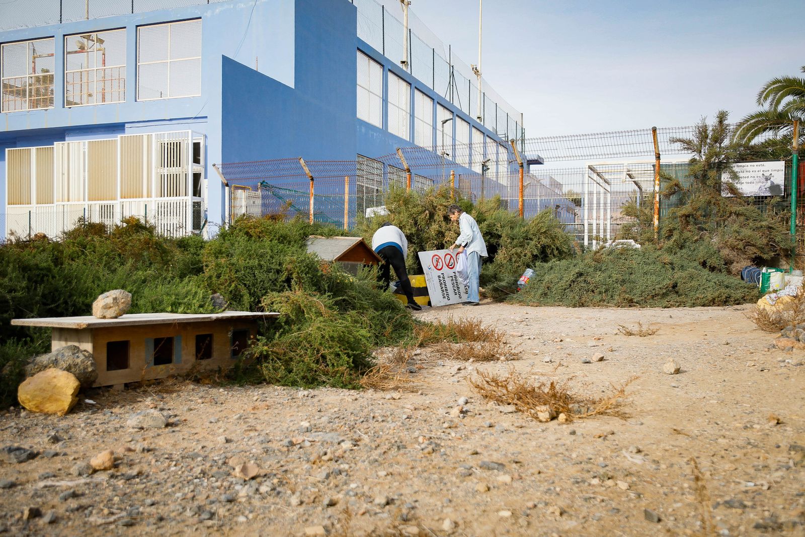 Las dos cuidadoras de la colonia de gatos ferales existente junto al Club de Mar de Almería.