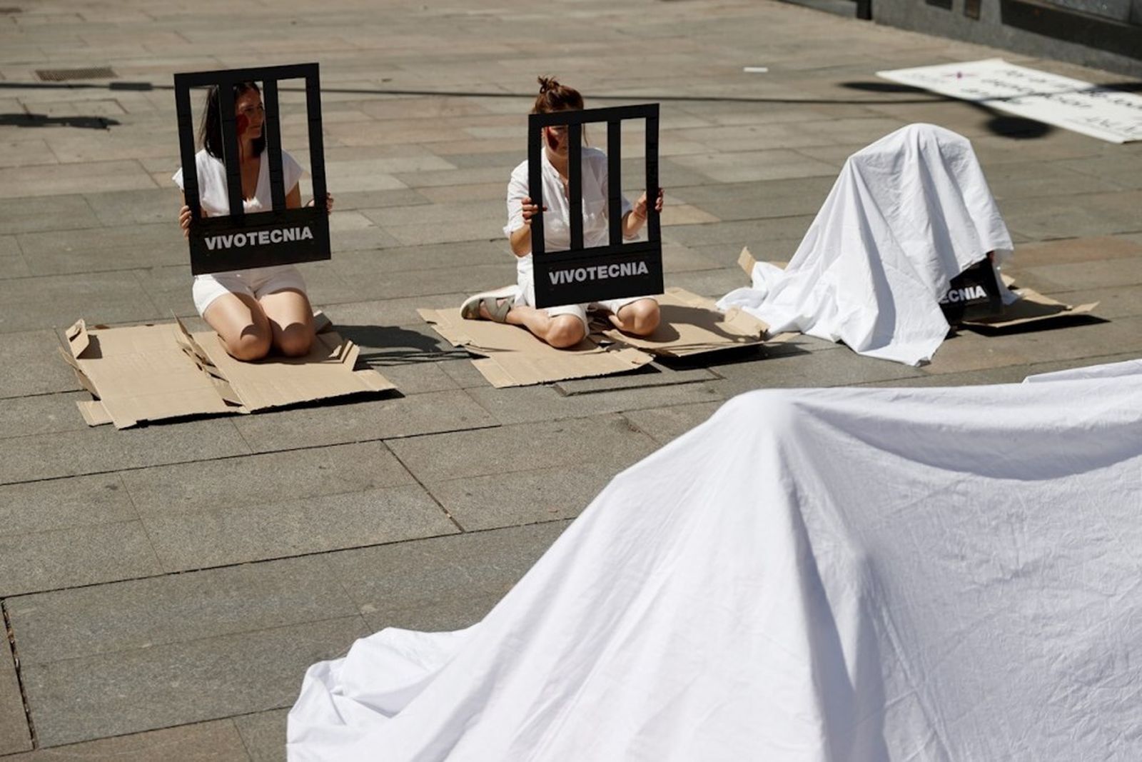 Organizaciones animalistas denuncian que la Comunidad de Madrid es "cómplice" de maltrato por no cerrar Vivotecnia