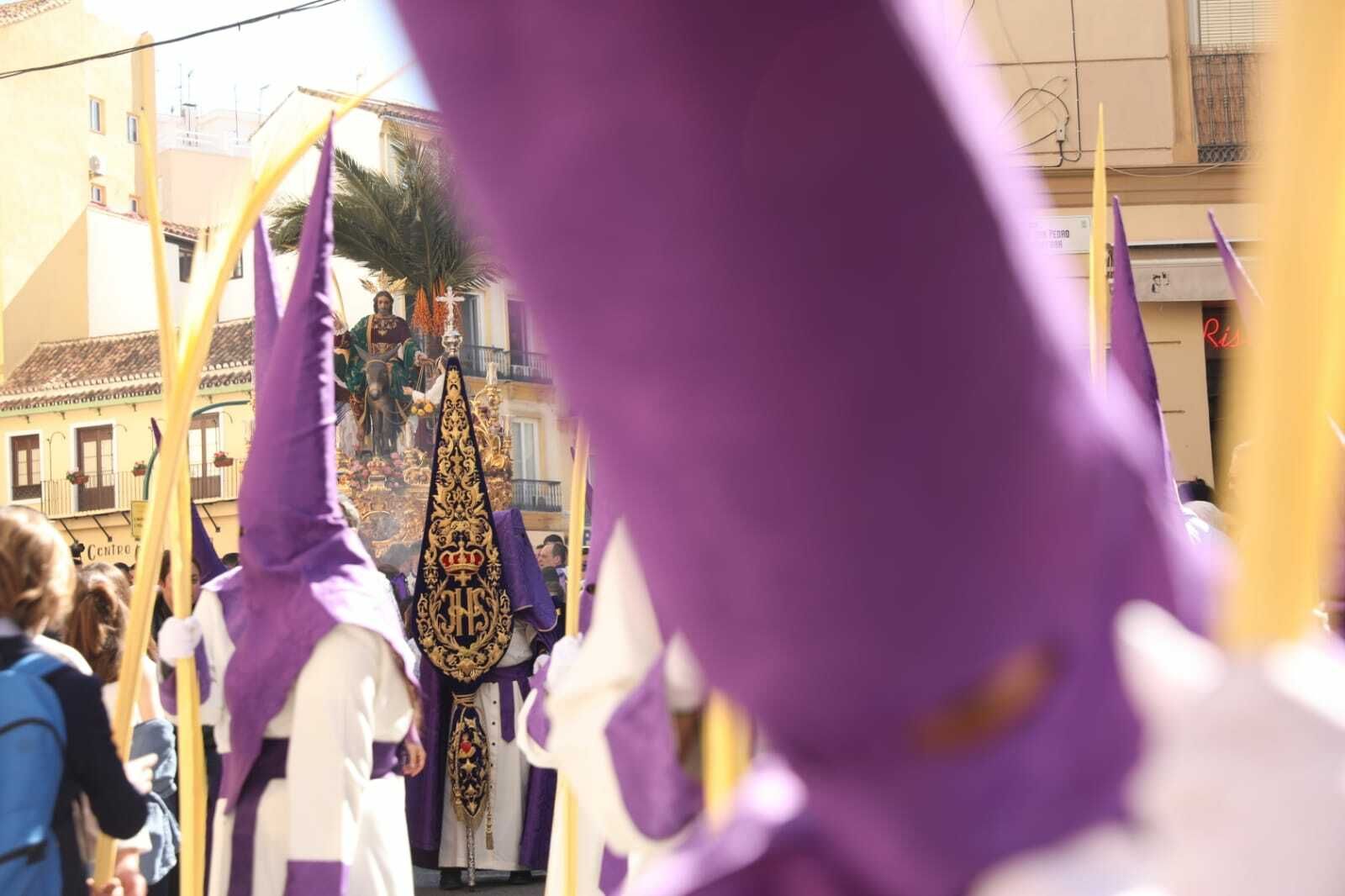 Las fotos de Pollinica en el Domingo de Ramos en Málaga