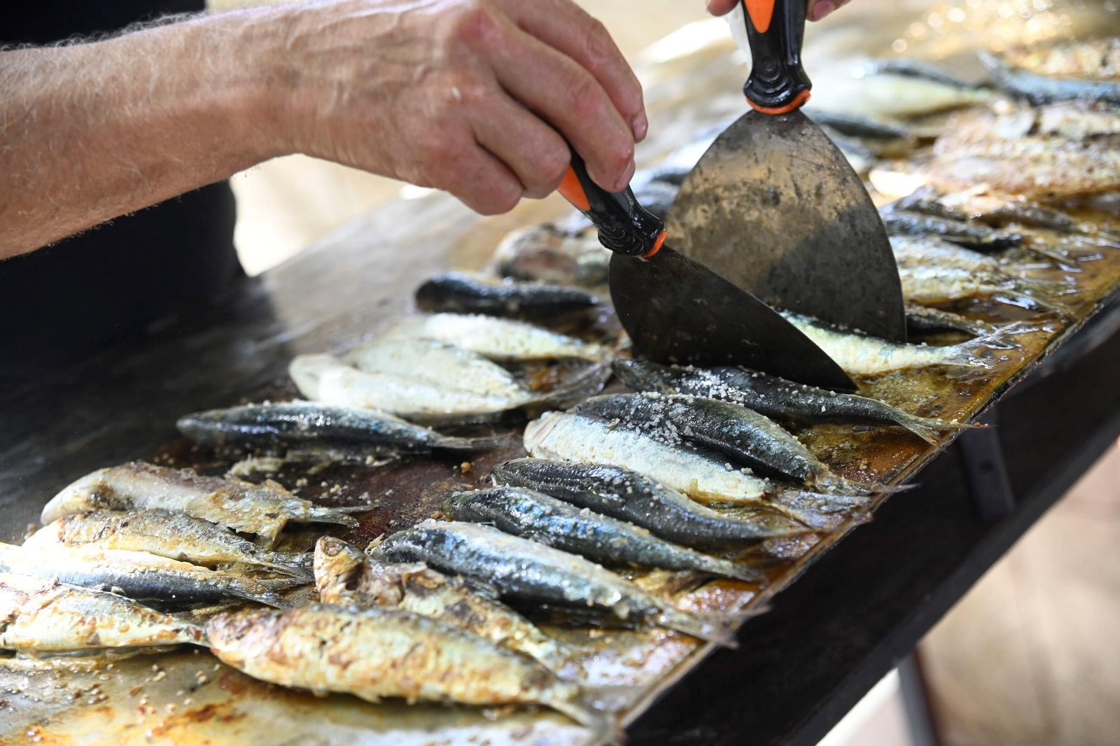 Las mejores fotos de la 'sardiná' de la Velá de la Fuensanta de Córdoba