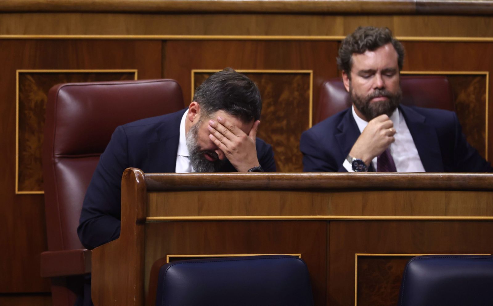 Santiago Abascal e Iván Espinosa de los Monteros.