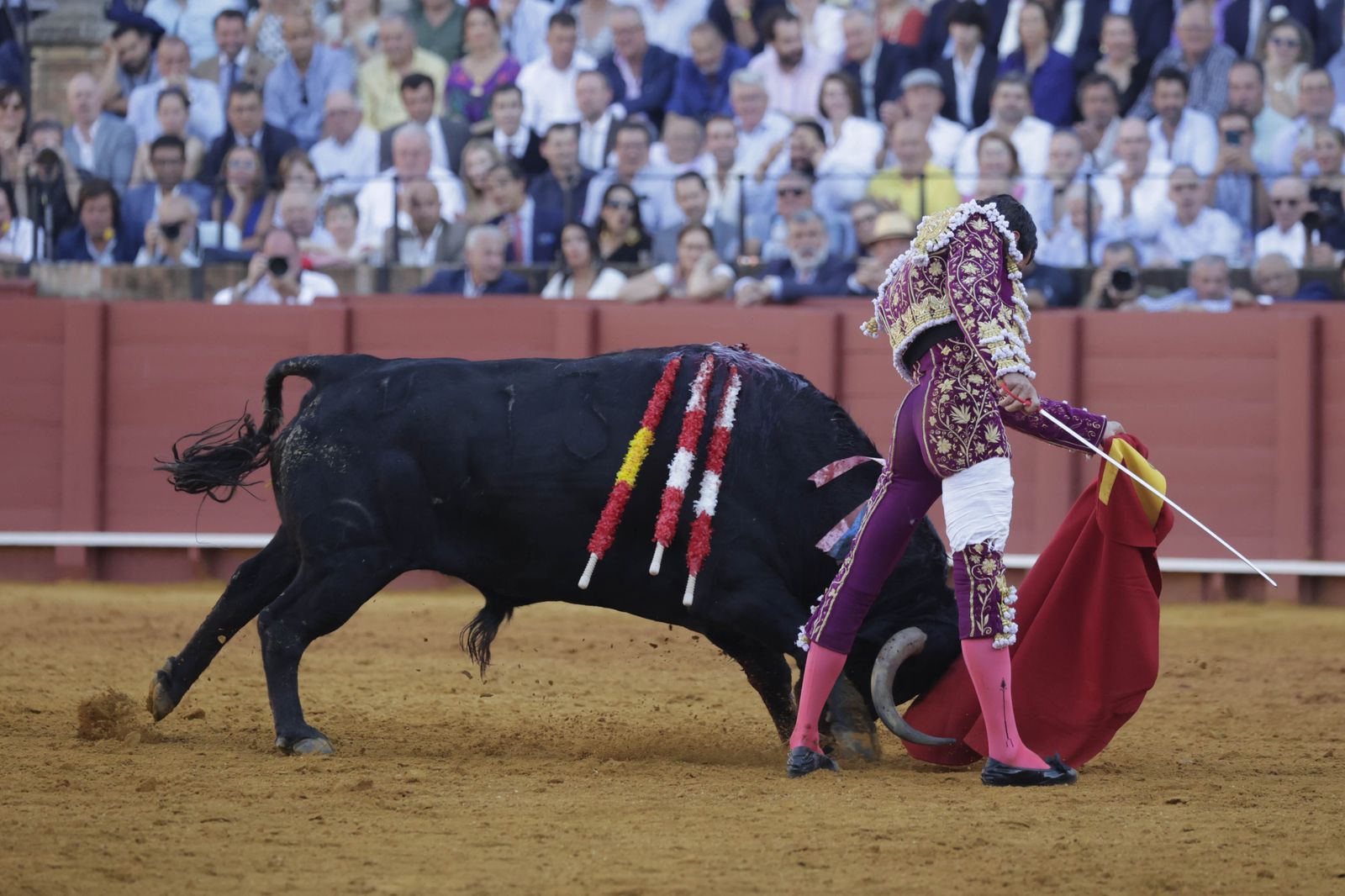 Las imágenes del festejo