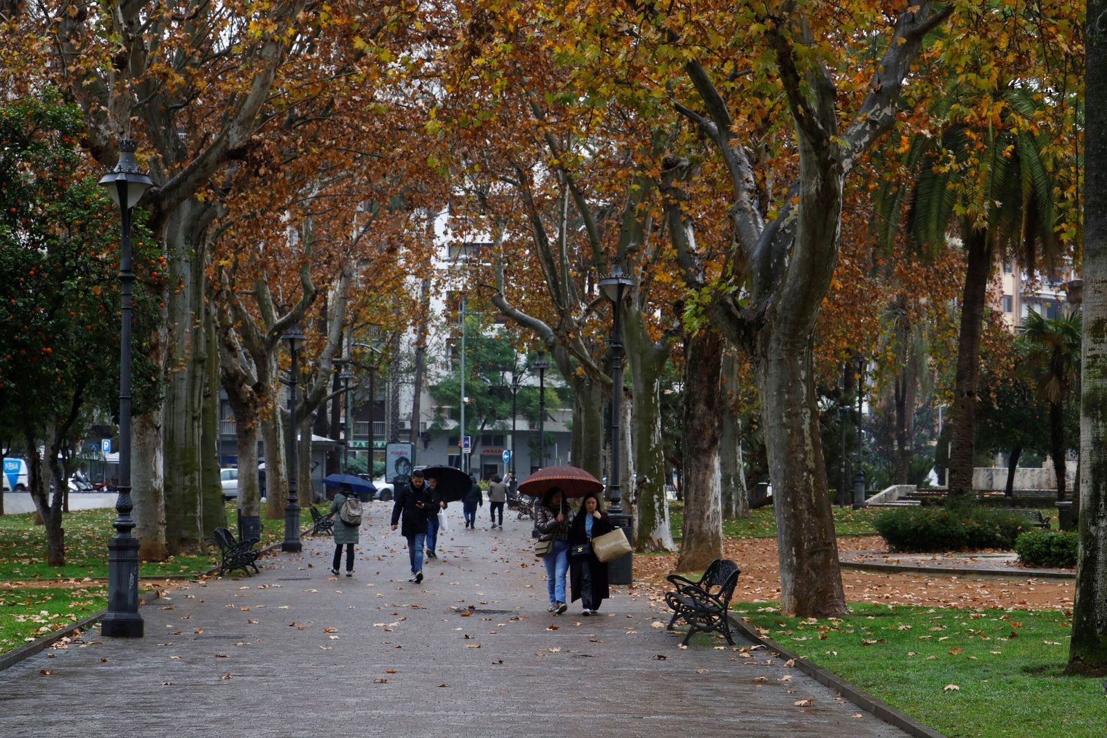 El paso de la borrasca Goretti por Córdoba