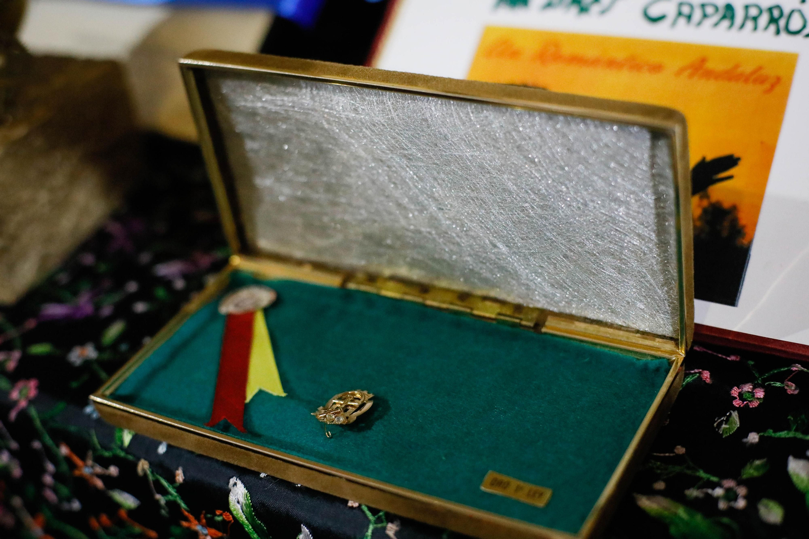 Entrega de Anagrama de Oro y Brillantes de la Ciudad de Almería a Andrés Caparrós en imágeness