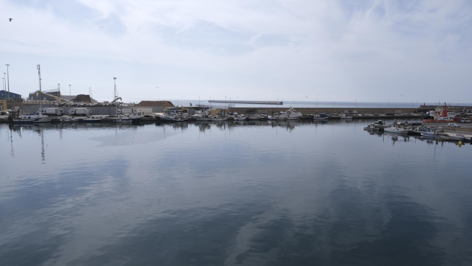 Taller gastronómico de la Gamba Roja de Almería, en imágenes