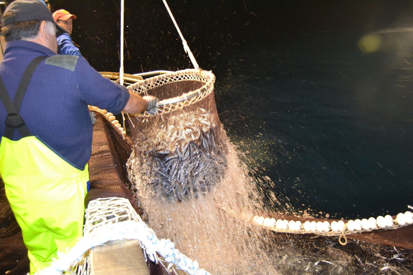 Pesca de cerco en Sanlúcar.
