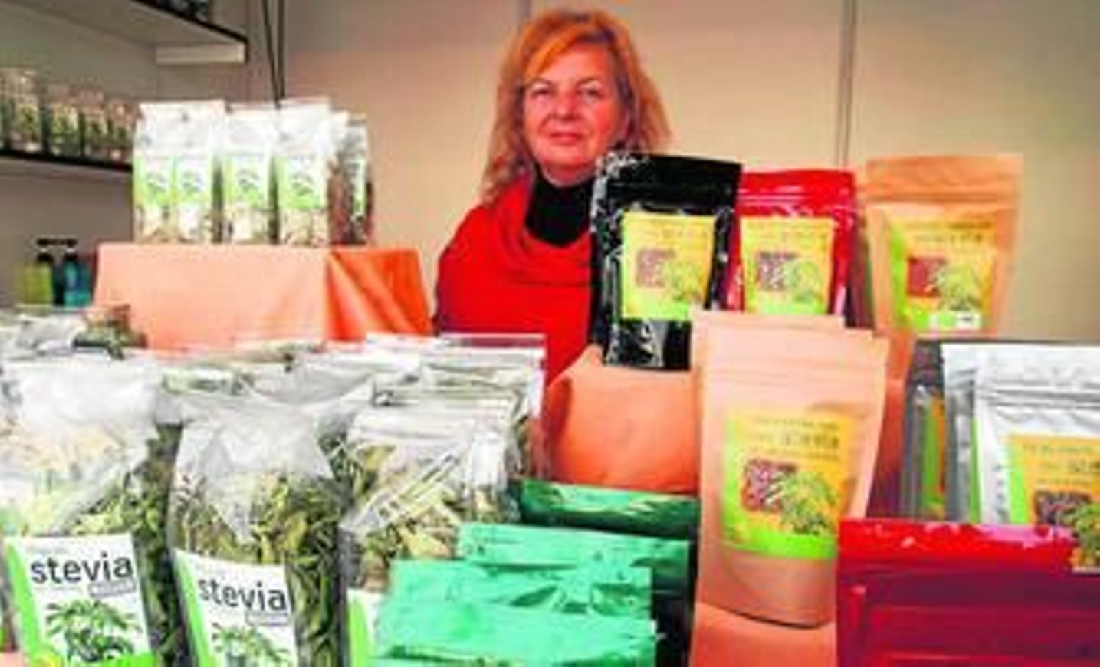 Plantación de Sol Stevia que prevé incrementar la cosecha.