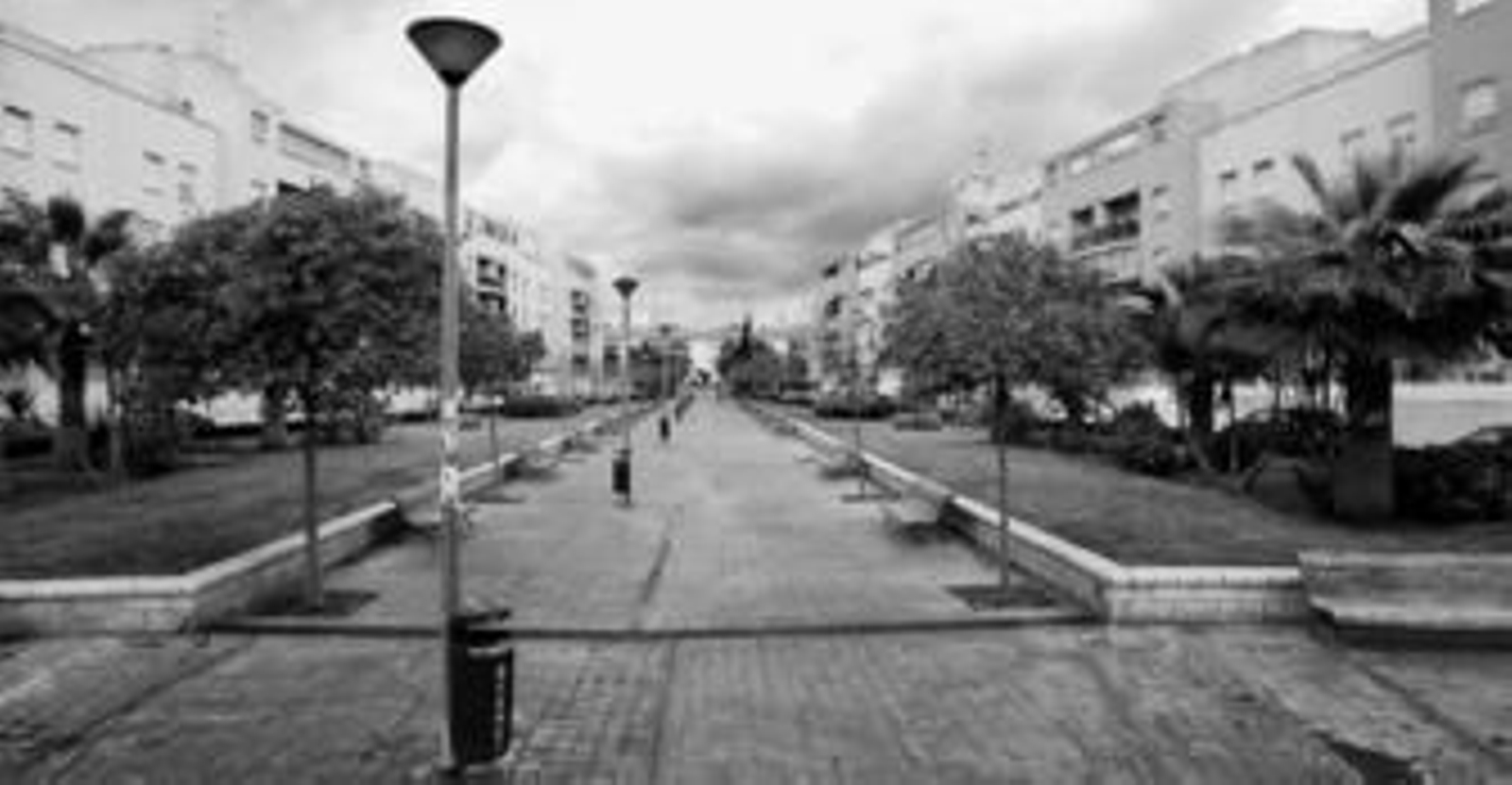 Imagen de una de las avenidas peatonales del barrio ubicado en Carretera de Cádiz.