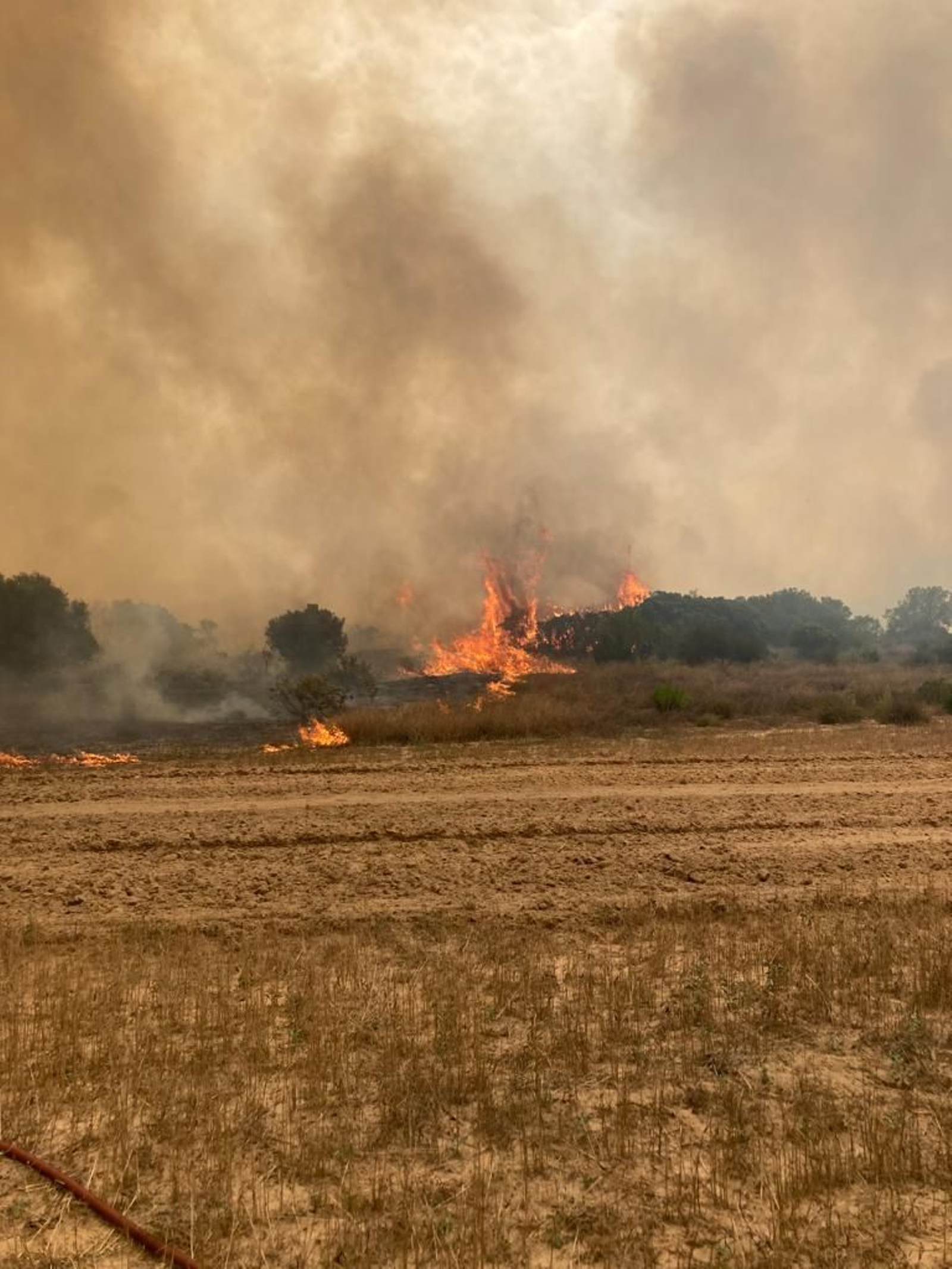 Incendio en Jerez en la zona de El Chaparrito. Incendio en Jerez en la zona de El Chaparrito.