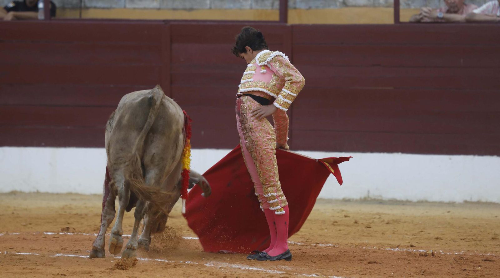 Fotos del triunfo de Manuel Roman y Javier Zulueta con la buena novillada de Núñez de Tarifa que abrió la Feria de La Línea