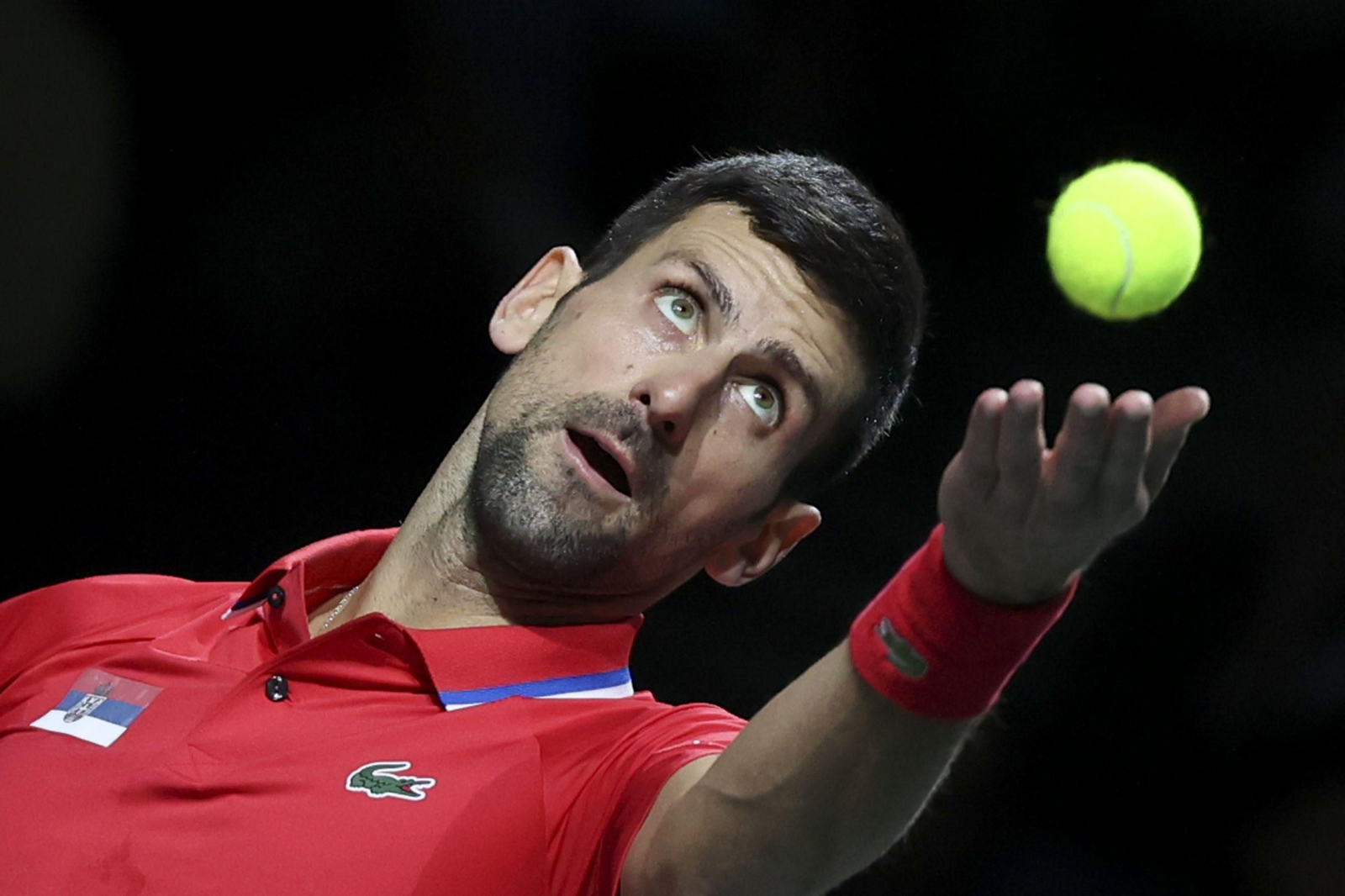 Copa Davis en Málaga: Sinner - Djokovic, en fotos