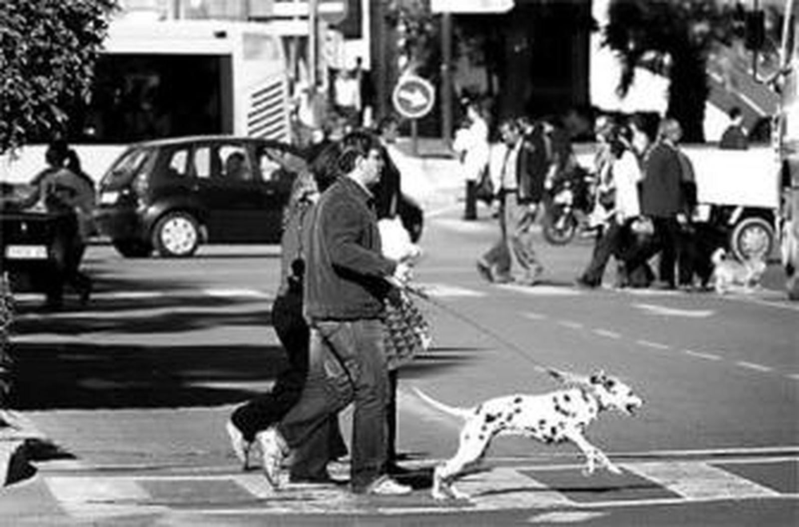 Un joven juega con su perro de raza pastor alemán dentro del agua en una playa.