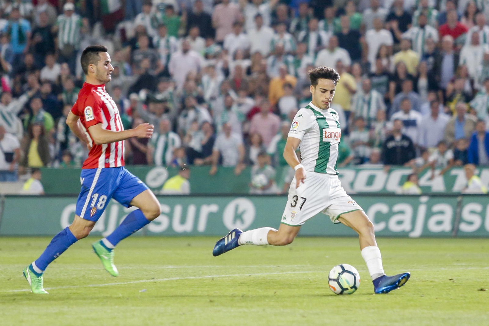 El Córdoba CF-Sporting de Gijón, en imágenes