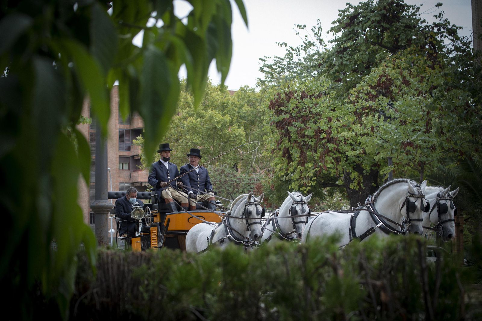 Un coche de caballos por el Parque de María Luisa.