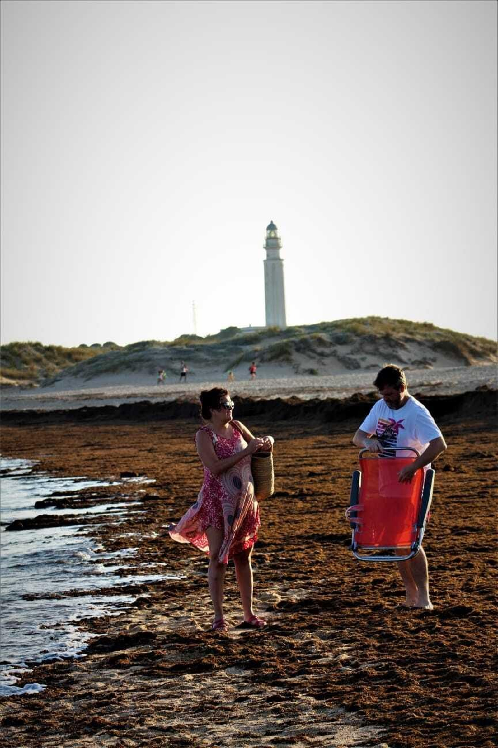 La playa de Los Caños de Meca, invadida por las algas