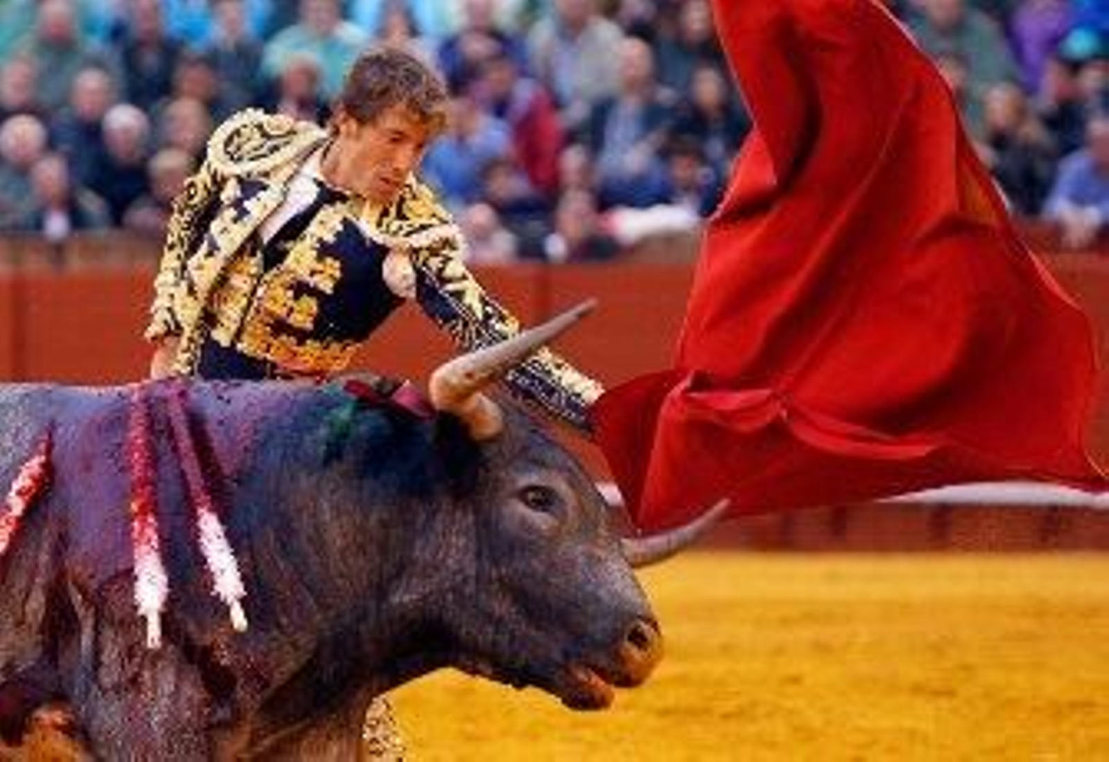 Escribano, El Juli y los 'miuras', premiados por la pasada Feria de Abril