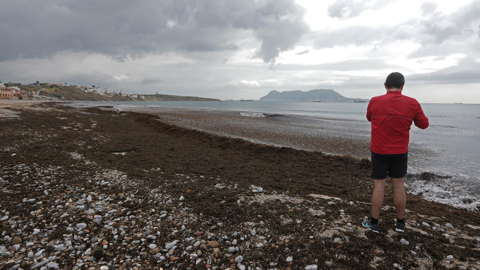 Algas invasoras en la playa de Getares
