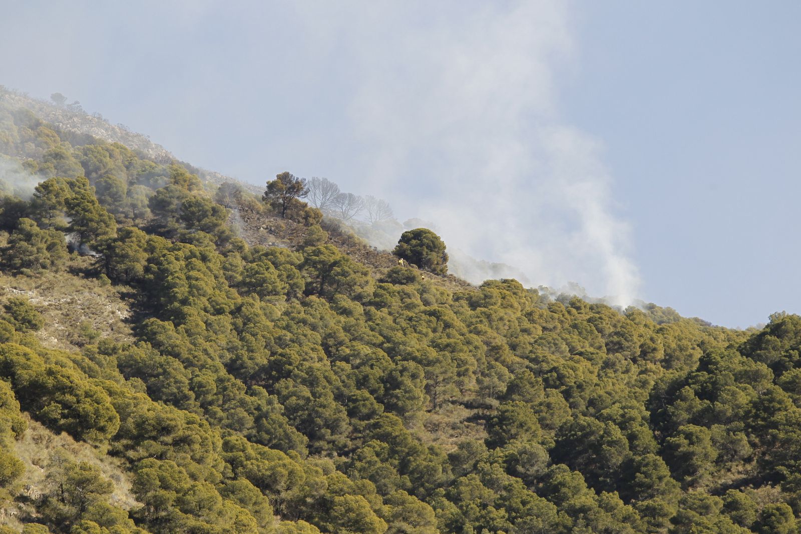 Fotogalería incendio forestal de Castala, Berja y Dalías.