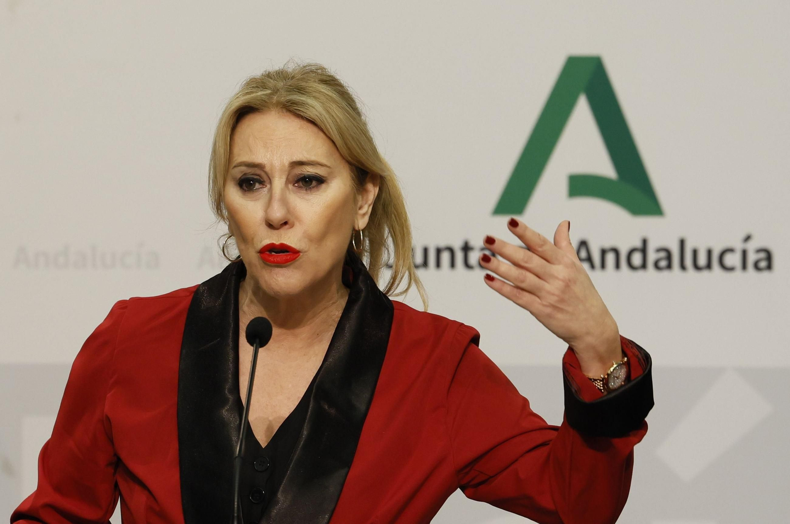 La consejera de Hacienda, Carolina España.