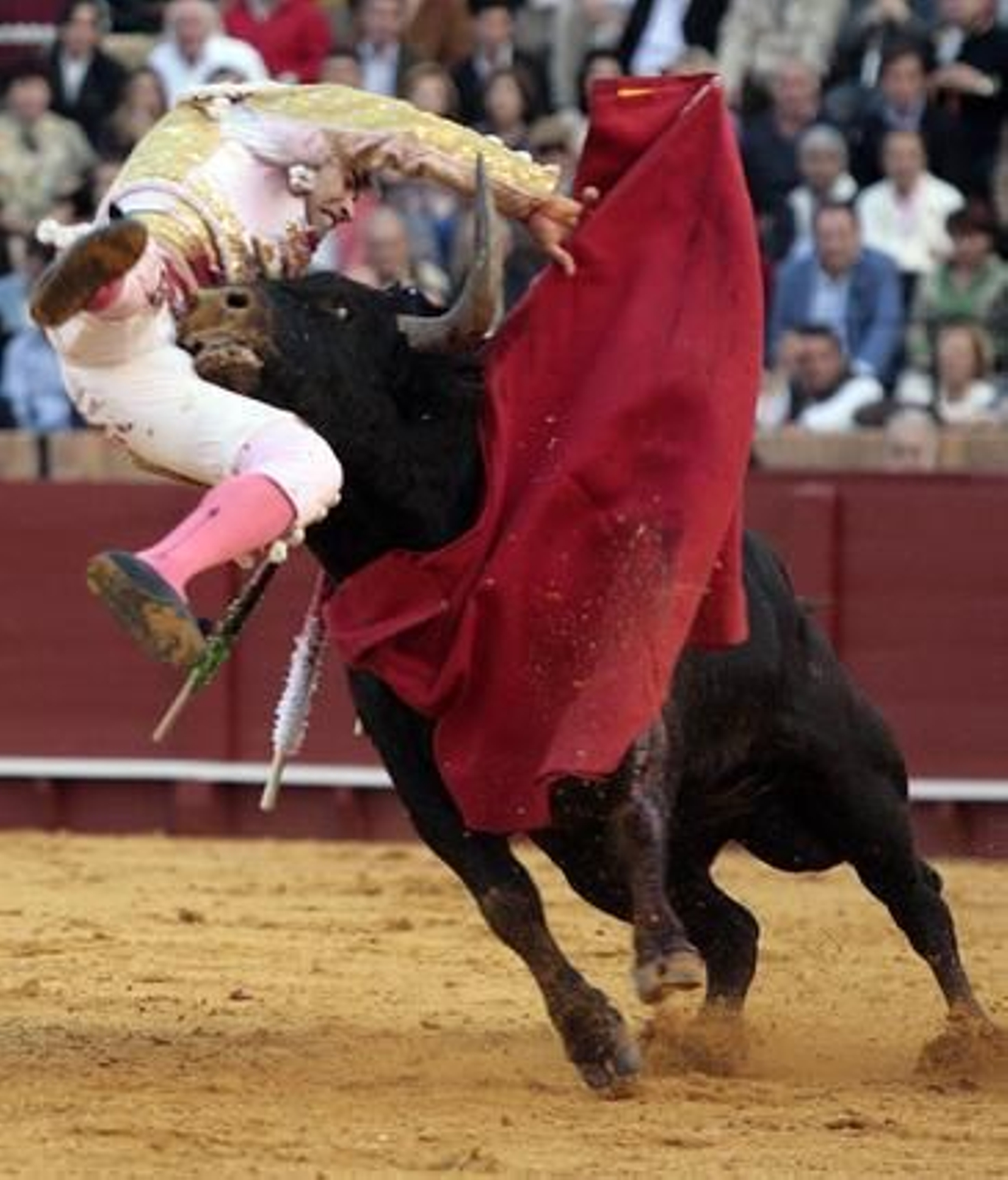 El torero mexicano fue herido por el peligroso quinto toro, que le propinó una cornada de 20 centímetros en el muslo derecho.  Foto: Juan Carlos Muñoz