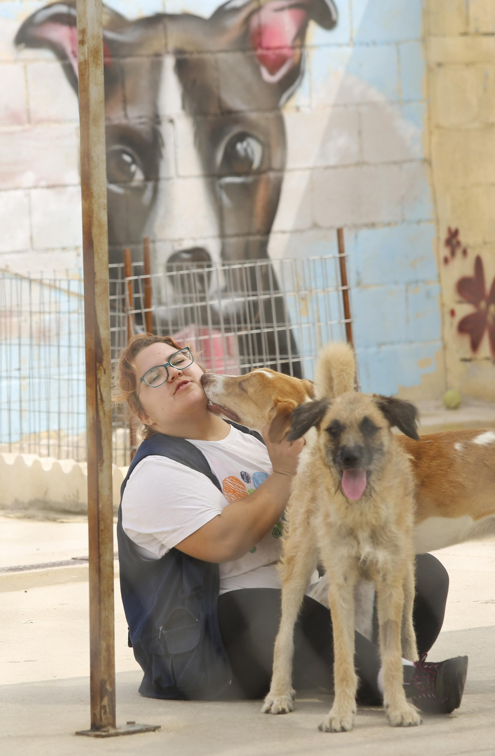 Las fotos de los animales de la Protectora de Málaga Las fotos de los animales de la Protectora de Málaga
