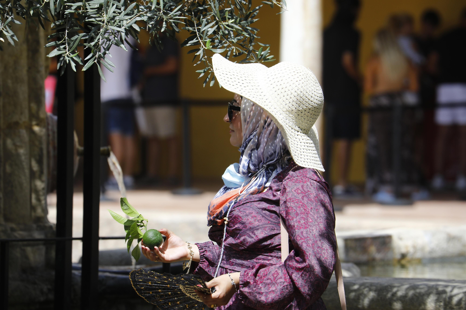 Córdoba empieza a notar los efectos de la ola de calor, en imágenes