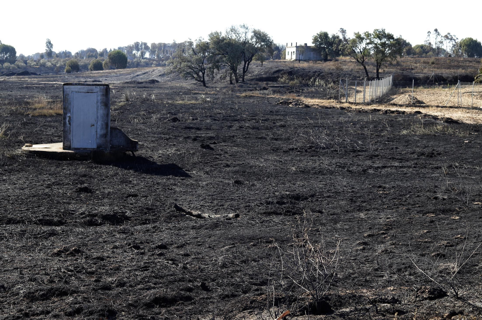 Imágenes de las zonas afectadas por los incendios de Almonte y Bonares